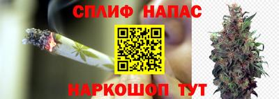 мяу мяу мука Донской