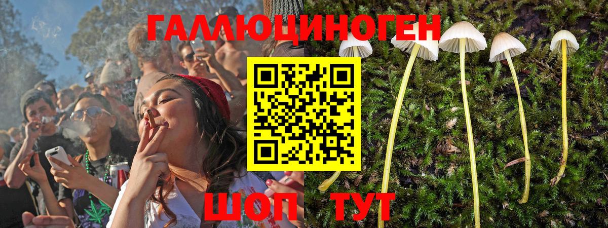 даркнет сайт  Вход с VPN  Нижневартовск  Галлюциногенные грибы MAGIC MUSHROOMS 